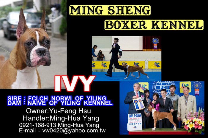 明昇杜賓犬 拳師犬 專業犬舍 明昇指導手學校 明昇杜賓犬 拳師犬 專業犬舍 明昇指導手學校