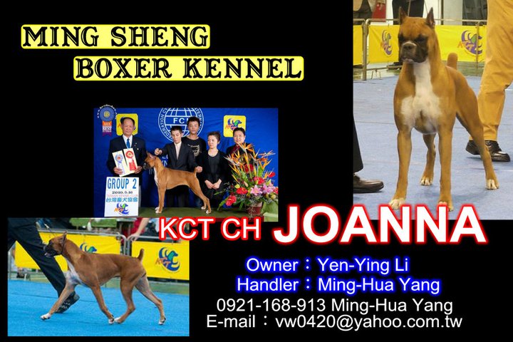 明昇杜賓犬 拳師犬 專業犬舍 明昇指導手學校