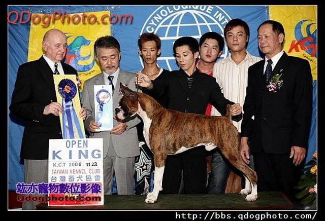 明昇杜賓犬 拳師犬 專業犬舍 明昇指導手學校