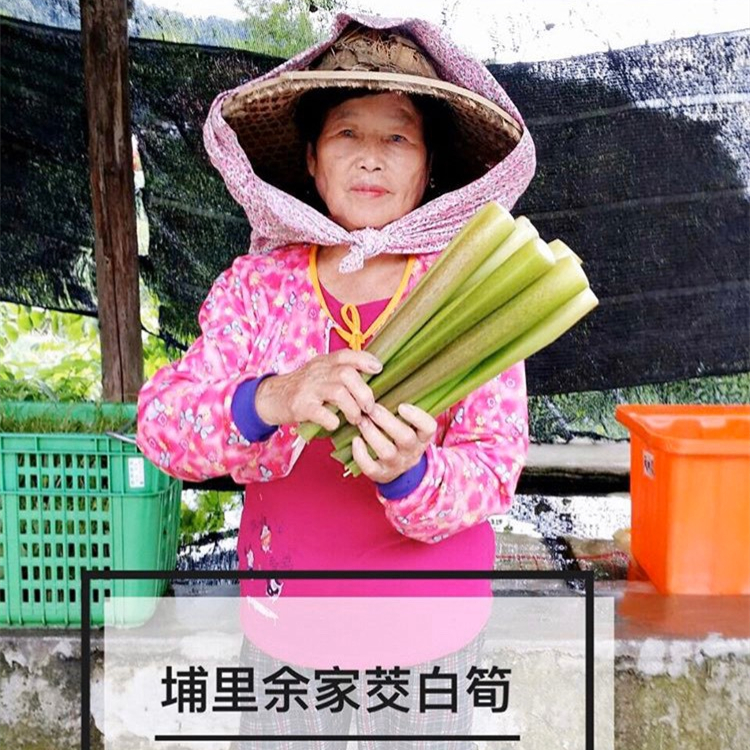 【圖說五：阿嬤分享道「這些美人腿不僅可以滿足不同口味的需求，而且因為不使用農藥，可以安心食用，希望大家多多品嘗這美味的禮物。」】